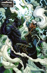 Variant Cover for Black Panther: Legends #2
