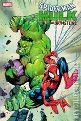 Cover for Spider-Man / Hulk: Fire and Brimstone #1