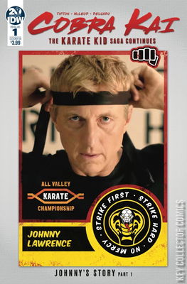 Cobra Kai: The Karate Kid Saga Continues