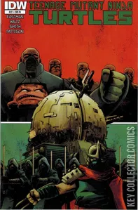 Teenage Mutant Ninja Turtles #37