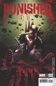 Variant Cover for Punisher #12