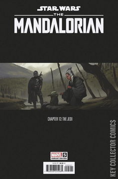 Variant Cover for Star Wars: The Mandalorian Season 2 #5