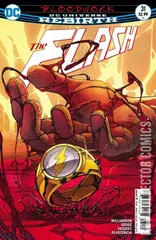Cover for Flash #31