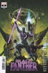 Variant Cover for Black Panther #22