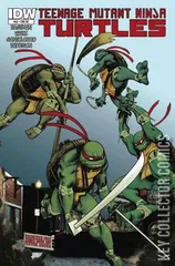 Variant Cover for Teenage Mutant Ninja Turtles #33