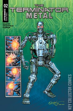 Variant Cover for Terminator: Metal, The #2