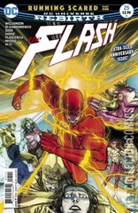 Cover for Flash #25