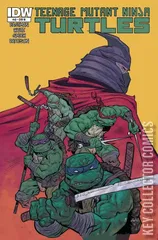 Variant Cover for Teenage Mutant Ninja Turtles #42