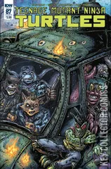 Variant Cover for Teenage Mutant Ninja Turtles #87