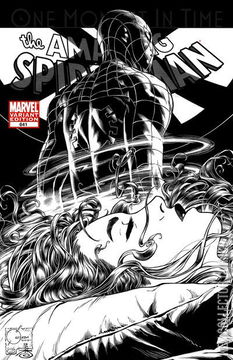 Variant Cover for Amazing Spider-Man #641