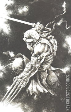 Variant Cover for Teenage Mutant Ninja Turtles: Jennika #2