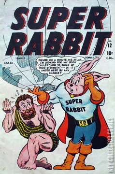 Variant Cover for Super Rabbit #12