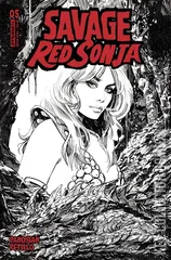Variant Cover for Savage Red Sonja #5