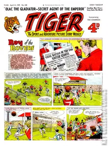 Tiger #240