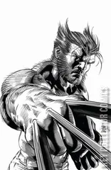 Variant Cover for Hunt For Wolverine #1