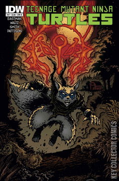 Variant Cover for Teenage Mutant Ninja Turtles #37