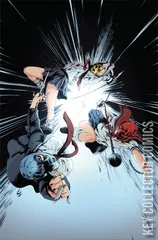 Variant Cover for Ninjettes #4