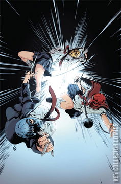 Variant Cover for Ninjettes #4