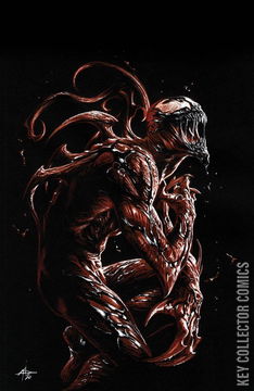 Variant Cover for Venom #27