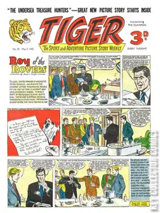 Tiger #35