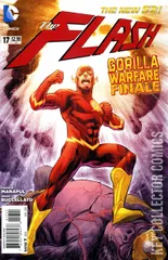 Cover for Flash #17