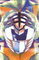 Variant Cover for Mighty Morphin Power Rangers / Teenage Mutant Ninja Turtles #2