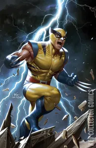 Marvel Tales: Wolverine #1