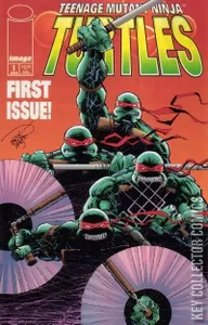 Teenage Mutant Ninja Turtles #1