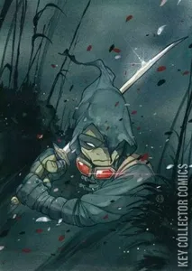 Teenage Mutant Ninja Turtles: The Last Ronin #1