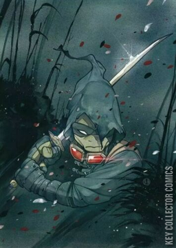 Variant Cover for Teenage Mutant Ninja Turtles: The Last Ronin #1