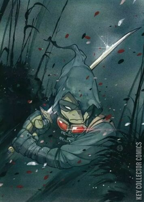 Teenage Mutant Ninja Turtles: The Last Ronin