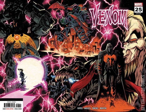 Variant Cover for Venom #25