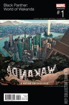 Variant Cover for Black Panther: World of Wakanda #1