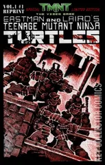 Variant Cover for Teenage Mutant Ninja Turtles #1