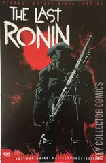 Variant Cover for Teenage Mutant Ninja Turtles: The Last Ronin