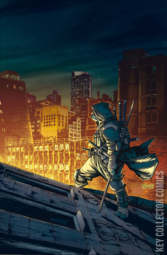Variant Cover for Teenage Mutant Ninja Turtles: The Last Ronin #1