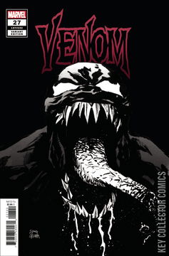 Variant Cover for Venom #27