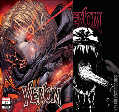 Variant Cover for Venom #27