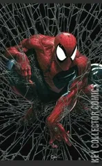 Variant Cover for Spider-Man #1