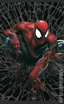 Variant Cover for Spider-Man #1