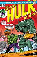 Cover for Incredible Hulk #171