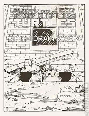 Teenage Mutant Ninja Turtles: Storm Drain Savers