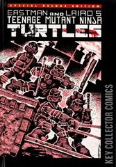 Variant Cover for Teenage Mutant Ninja Turtles #1