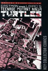 Variant Cover for Teenage Mutant Ninja Turtles #1