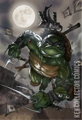Cover for Teenage Mutant Ninja Turtles: The Last Ronin #1