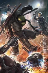 Cover for Teenage Mutant Ninja Turtles: The Last Ronin #1