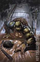 Cover for Teenage Mutant Ninja Turtles: The Last Ronin #1