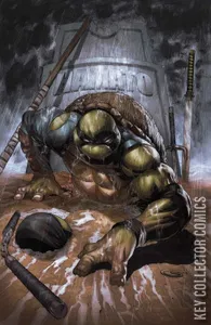Teenage Mutant Ninja Turtles: The Last Ronin #1