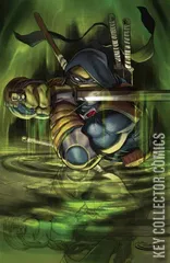 Cover for Teenage Mutant Ninja Turtles: The Last Ronin #1