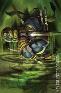 Teenage Mutant Ninja Turtles: The Last Ronin #1